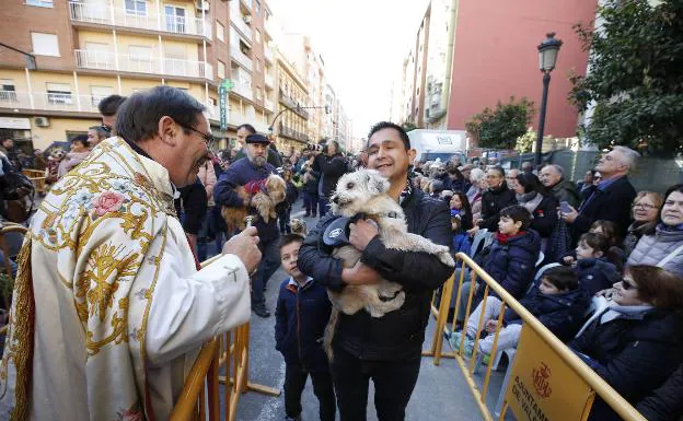 Bendición de animales de la fiesta de San Antonio en Valencia. /Jesús Signes