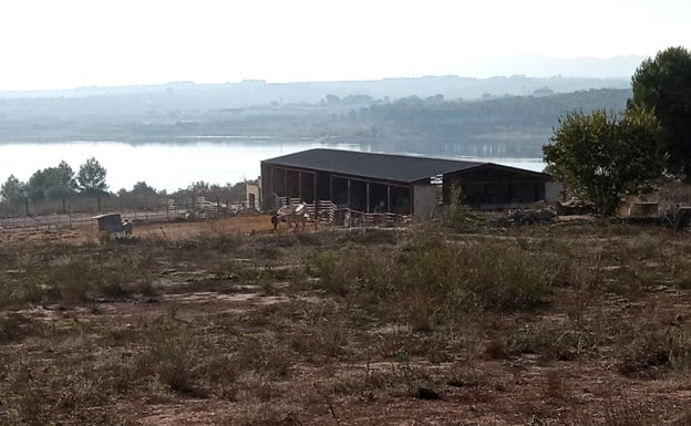 Dos años sin respuestas para la familia de un fallecido al chocar con su coche contra un caballo