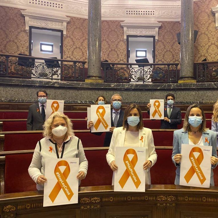 La protesta contra la ley Celaá entra en el Ayuntamiento de Valencia