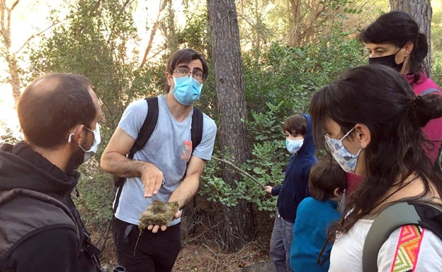 Aves insectívoras se instalan en 15 cajas nido en el paraje natural municipal de La Costera de Puçol