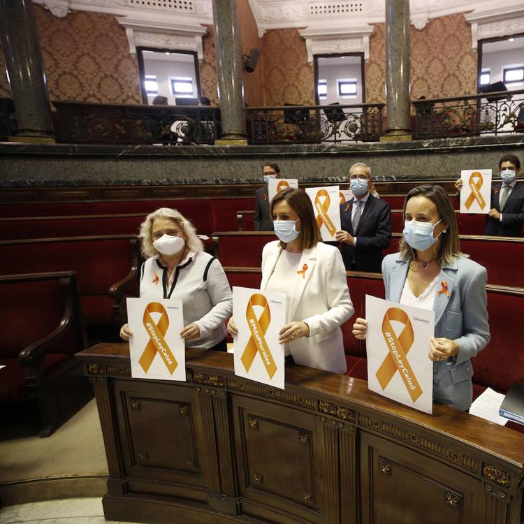 Ribó sólo ha gastado 26.000 euros en nueve colegios anunciados en 2018