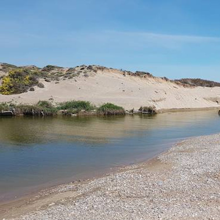 Las tormentas se tragan una gola de la Albufera