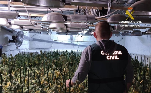 La Guardia Civil detiene en Teulada a 9 personas tras desmantelar una plantación de marihuana en el sótano de un restaurante