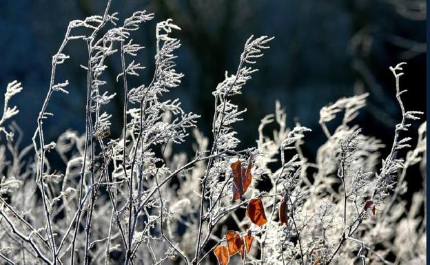 Las temperaturas se desploman hasta casi 5 bajo cero en la Comunitat Valenciana y caerán aún más