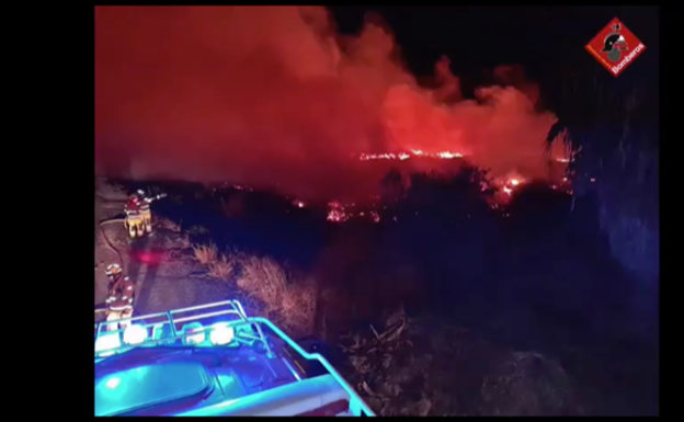 Un incendio declarado en Elche afecta a tres hectáreas de palmeras