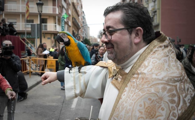 San Antonio Abad suspende la bendición de animales que será sólo virtual
