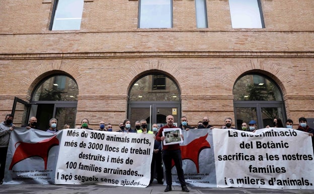 Los ganaderos de bous al carrer protestan por la falta de ayudas y de ingresos desde hace un año