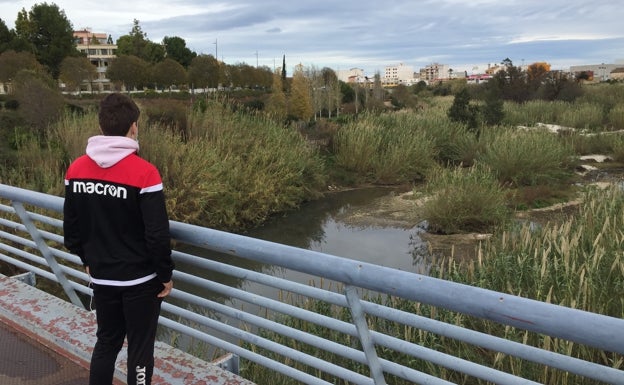 La vegetación invasora ocupa ya el 42% de la ribera del Serpis