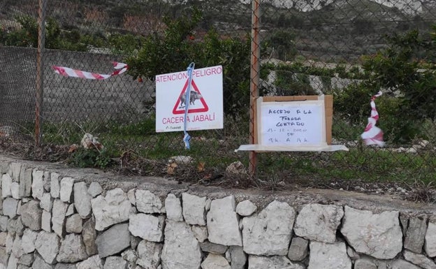 Residentes en la Vall de Gallinera denuncian batidas «ilegales» de jabalís en todo el término