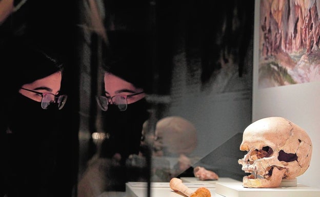 La nueva cara del Museo de Prehistoria