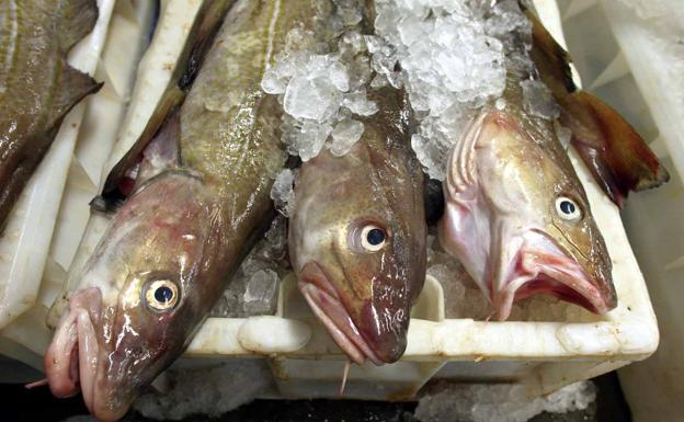 Un año de prisión para dos hombres que robaron de un almacén de Silla 22.500 kilos de bacalao procedente de Noruega