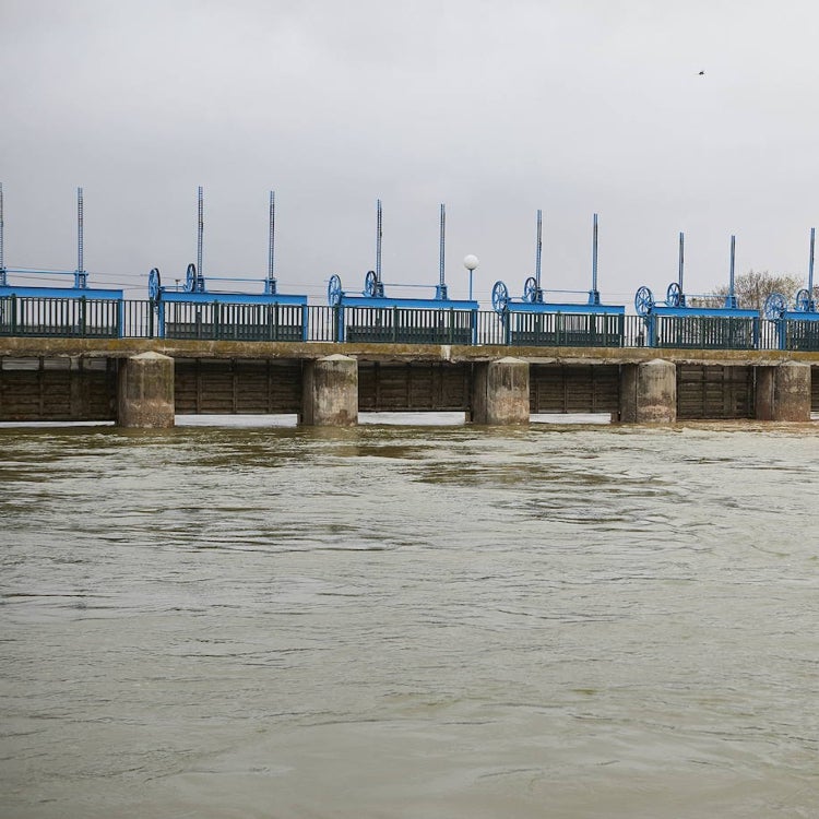 Una comisión científica para salvar la Albufera