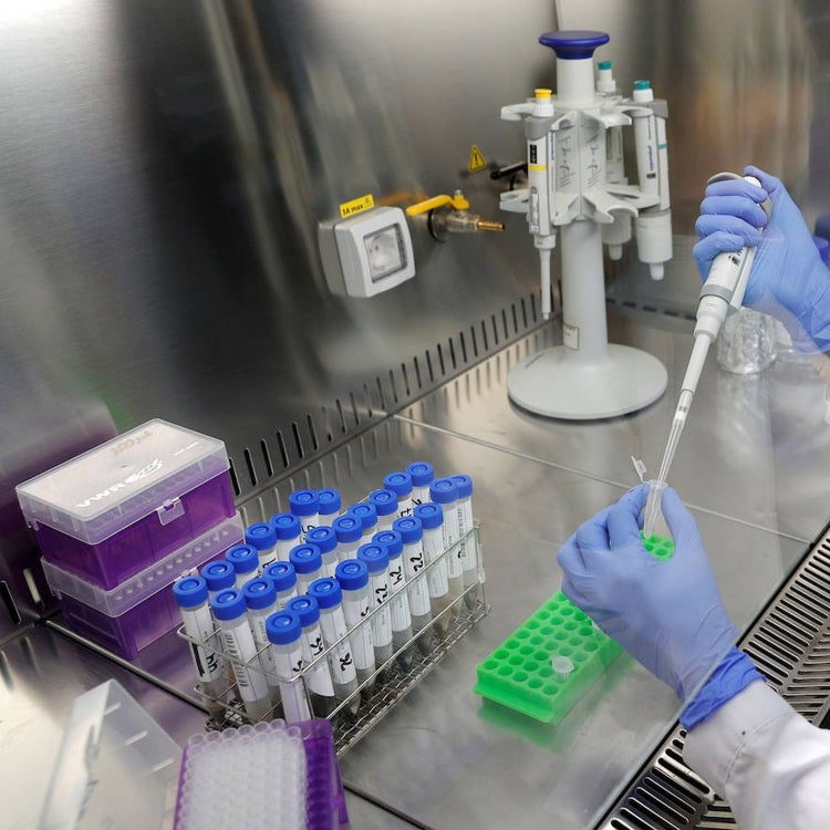 Valencia detecta en el centro el mayor rastro de coronavirus