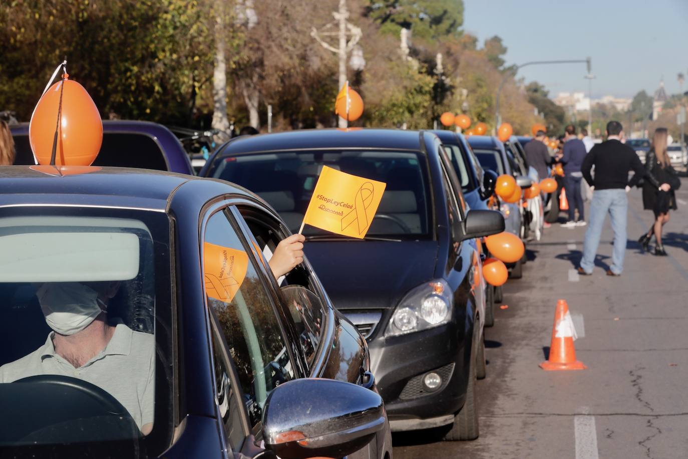 La concertada valenciana sale a la calle contra la Ley Celaá