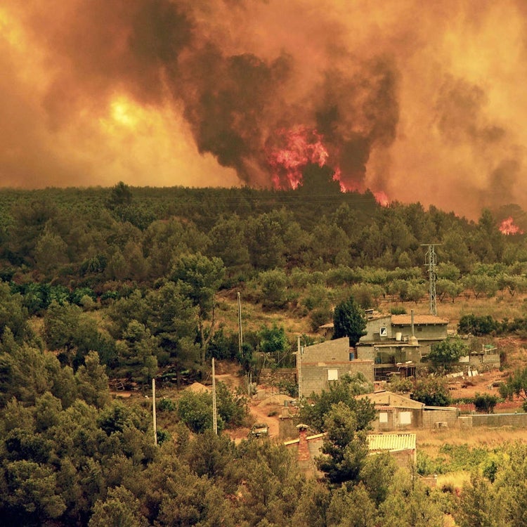 El Síndic de Comptes critica la falta de planes contra incendios en la Comunitat
