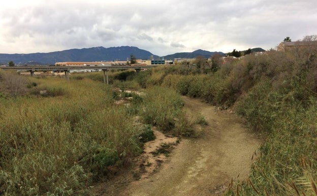 Les Corts planta cara al Gobierno y exige más caudal en el Serpis para evitar la muerte de peces