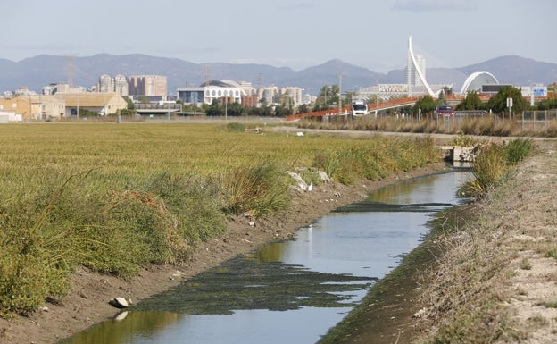 Los regantes denuncian la paralización de las obras de mejora en la Albufera