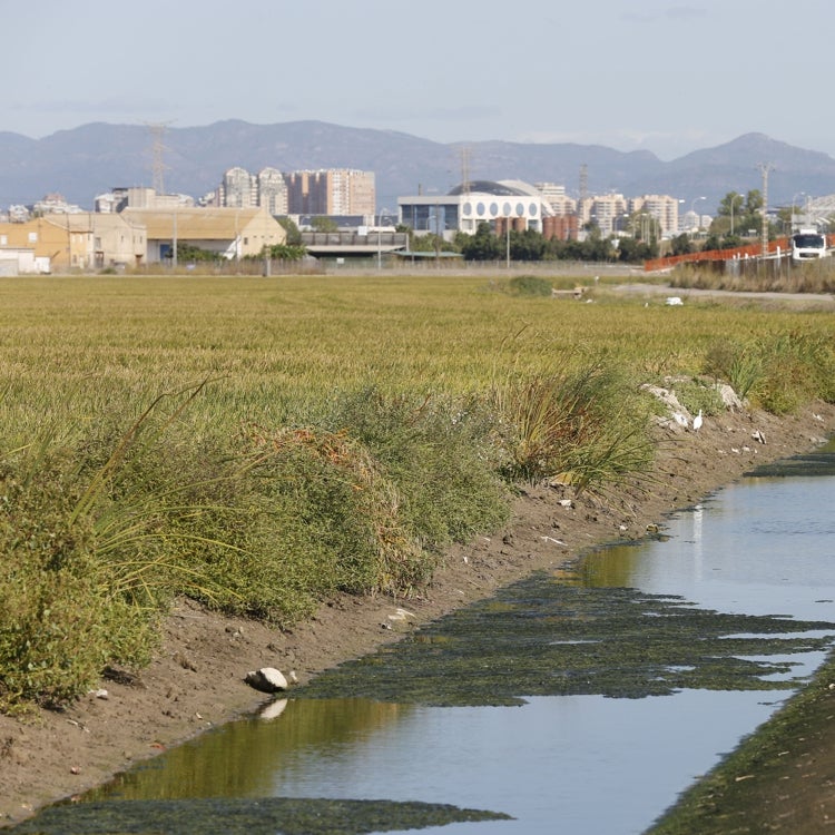 Los regantes denuncian la paralización de las obras de mejora en la Albufera
