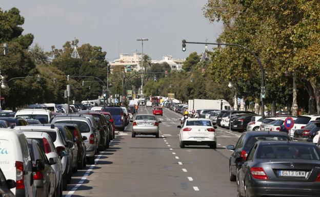 Comerciantes y vecinos piden participar en el nuevo diseño del paseo de la Alameda