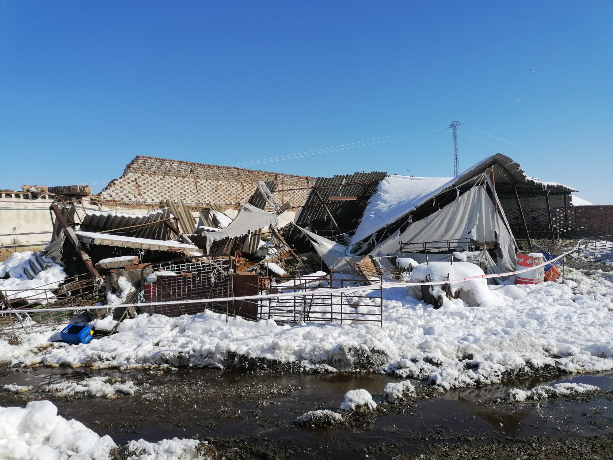 El derrumbe de una nave por la nieve atrapa a más de 400 ovejas  