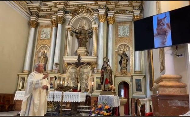 Bendición de animales a través de las pantallas en Benifaió