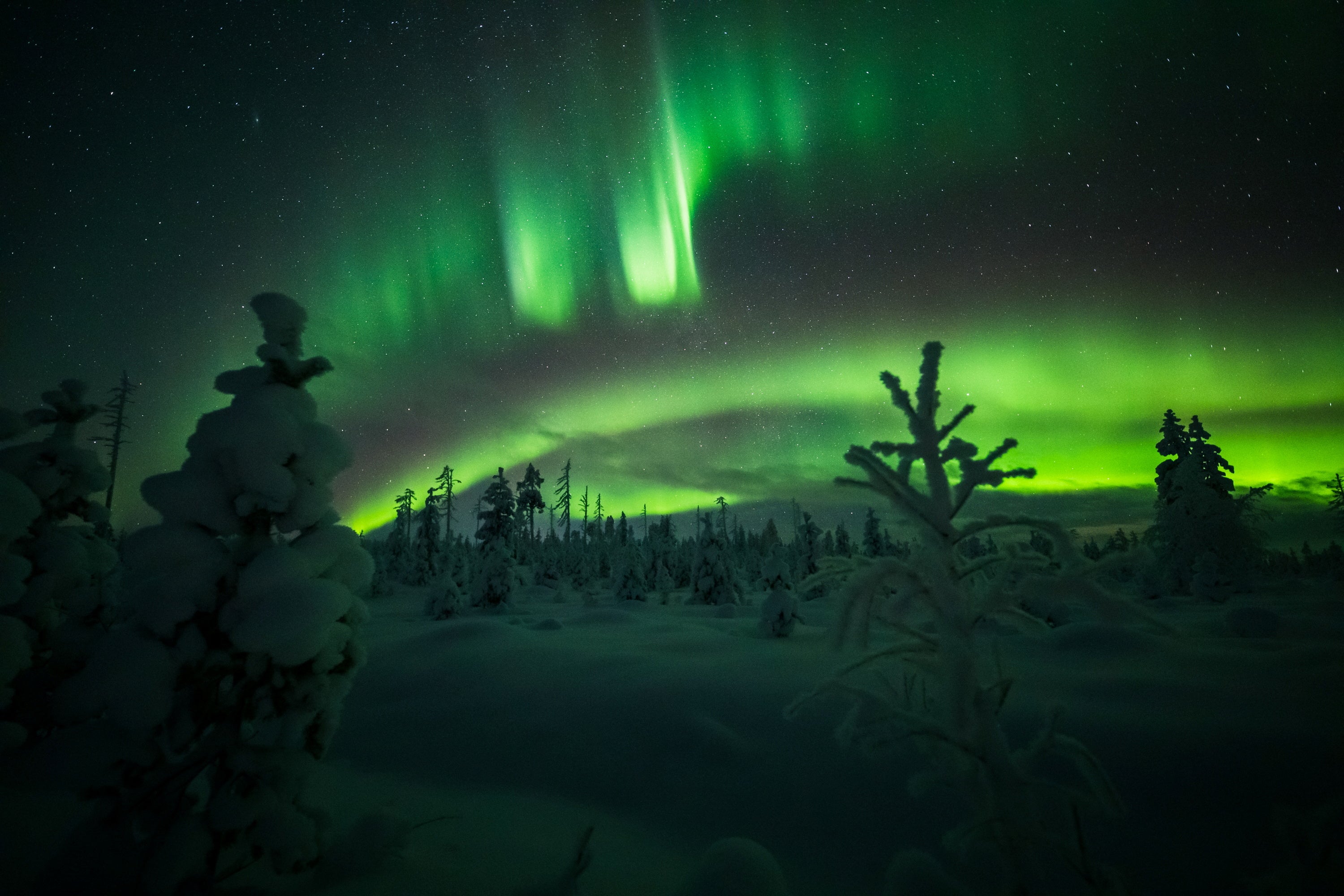 El espectáculo mágico de las auroras boreales en los cielos de Finlandia