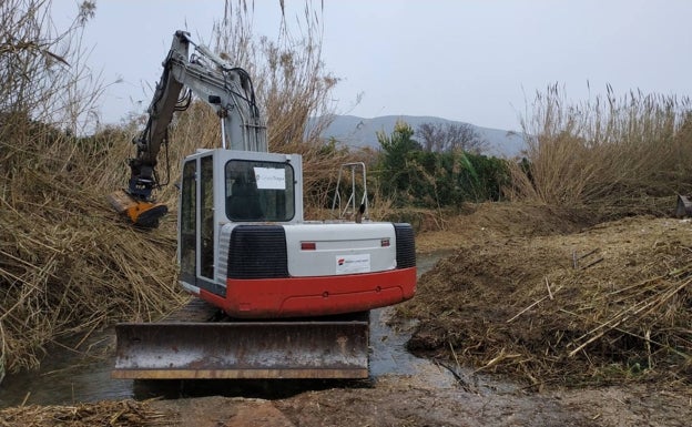 Limpieza de cañas en los ríos Serpis y Vaca