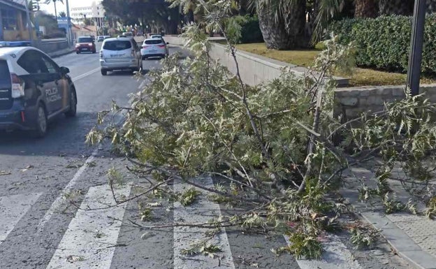 Los bomberos atienden más de cuarenta emergencias por las fuertes rachas de viento en la capital