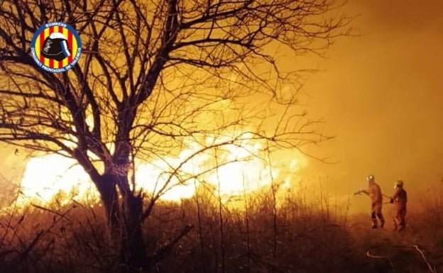 Los bomberos sofocan un incendio en la marjal de Rafalell i Vistabella