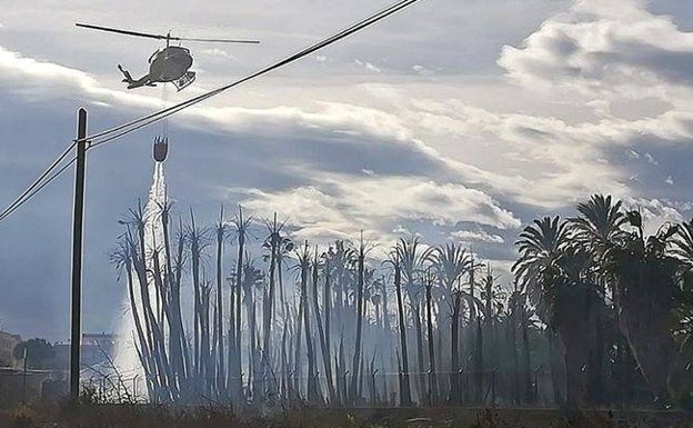 Un incendio calcina parte de un vivero de palmeras en Albatera