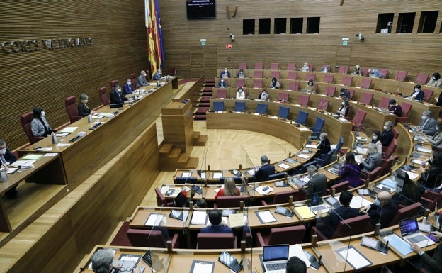 Ayuntamientos catalanes traen a Les Corts su defensa de la unidad de la lengua