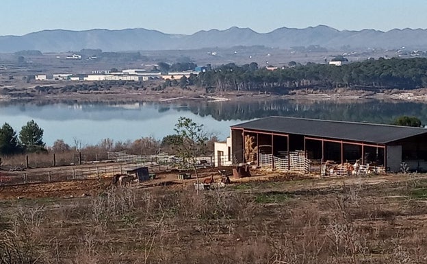 Benigànim cerrará la explotación equina ilegal el 2 de febrero