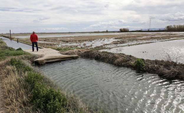 Un cazador halla en una acequia el cadáver de la joven de 19 años desaparecida en Albal