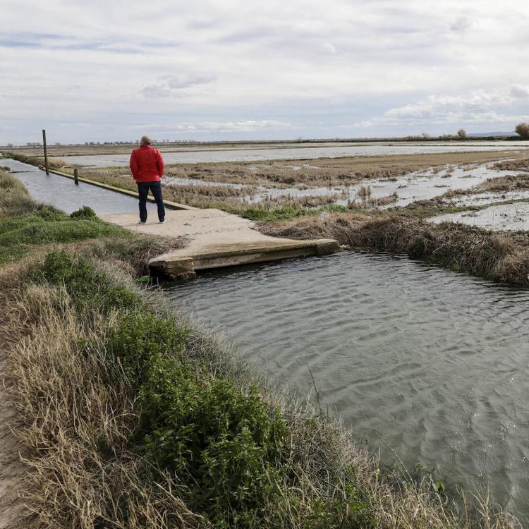 Un cazador halla en una acequia el cadáver de la joven de 19 años desaparecida en Albal