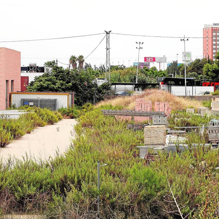 La Albufera, otro año sin inversiones