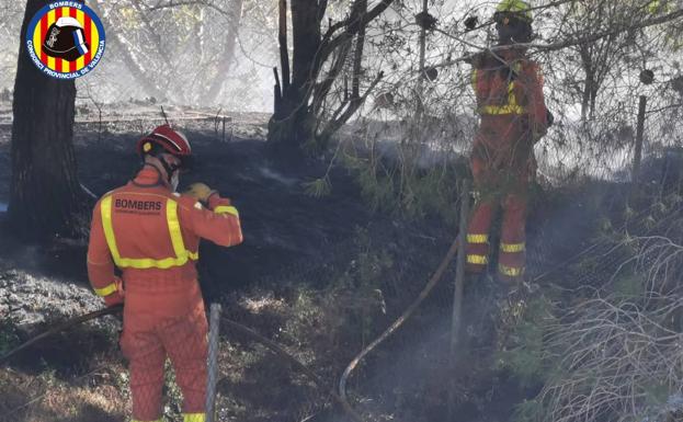 Un incendio de vegetación en Alfarp obliga a establecer la situación 1 del Plan Especial