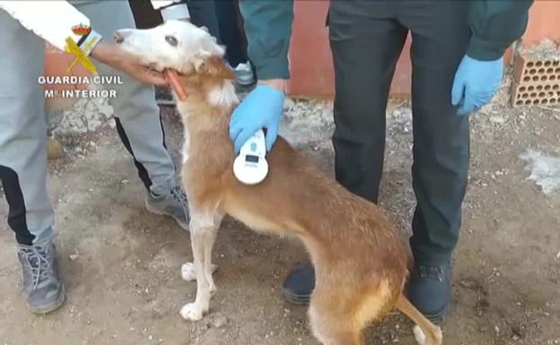 Extorsionan a un joven de Sedaví con el pago de una deuda ficticia para evitar que prostituyan a su madre