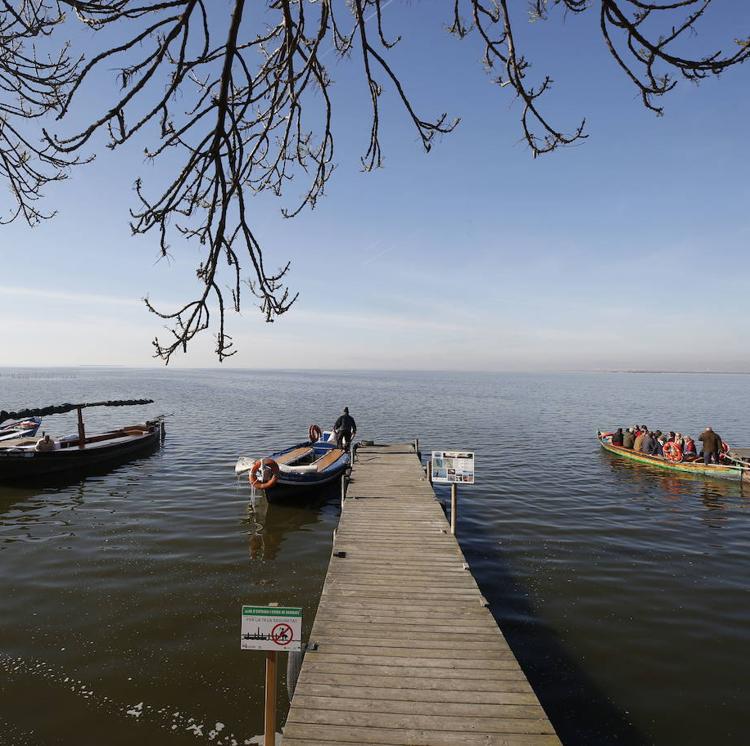 Expertos reclaman más inversiones para frenar los vertidos en la Albufera
