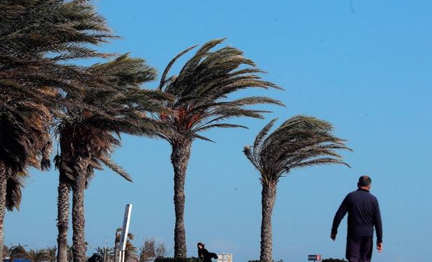 La Comunitat Valenciana amanece con rachas muy fuertes de viento en el interior de Valencia y Castellón