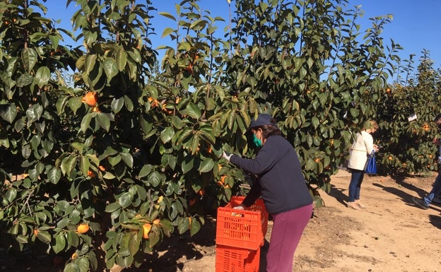 El paro sube un 20% en la Ribera en el último año