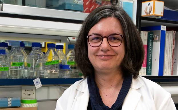 Los expertos explican cómo correr con mascarilla