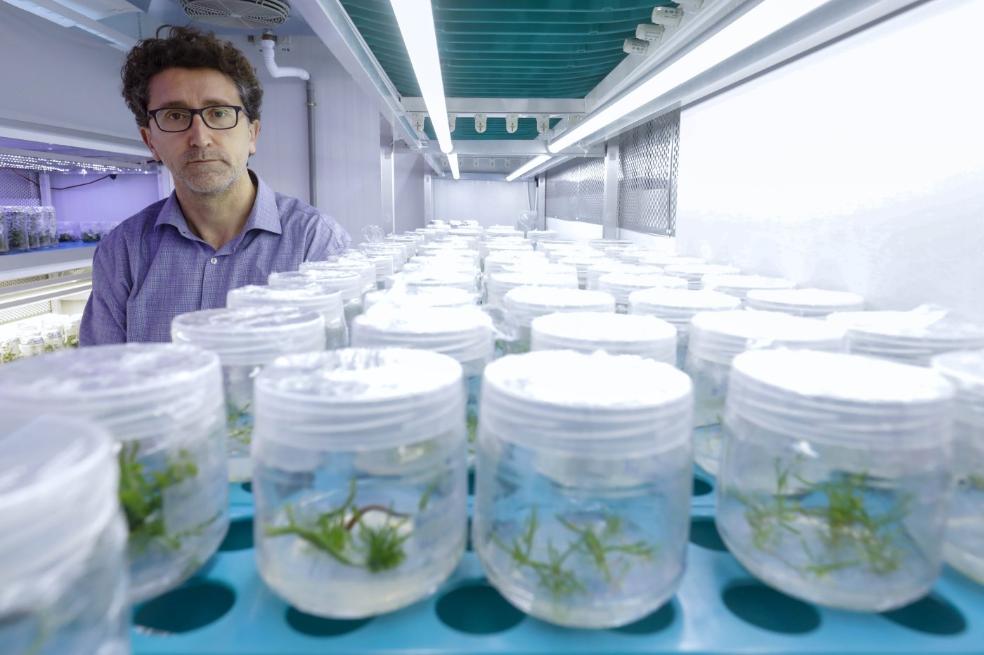 La ciencia valenciana sigue en precario