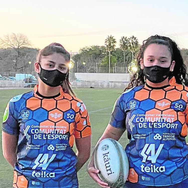 Las abejas holandesas