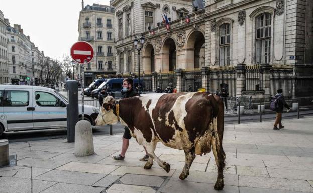 El menú escolar de Lyon crispa al Gobierno francés