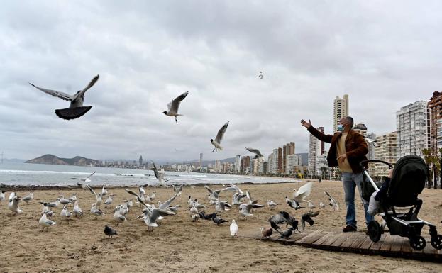 Benidorm prepara las playas para la llegada de turistas