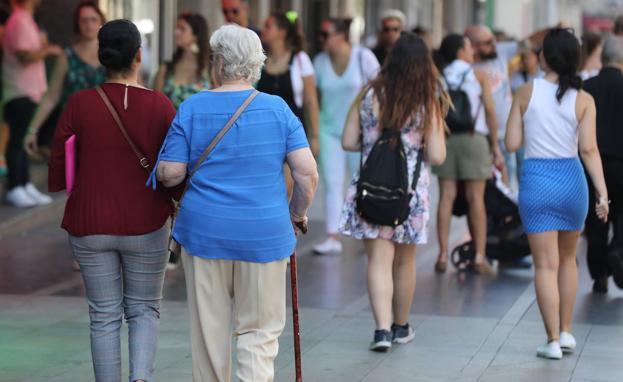 Cómo ver el Informe de Vida Laboral en la Seguridad Social