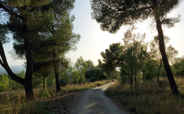 Los vecinos de La Pobla Llarga quieren que se actúe en el paraje la Serratella y que se mejoren las infraestructuras de la escoleta