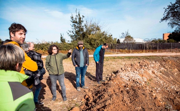 Gandia, única ciudad 'Arbórea del Mundo' valenciana