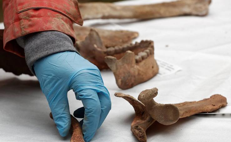 Descubren una nueva joya arqueológica de 3.200 años de antigüedad