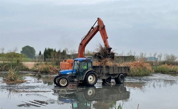 Silla limpia el filtro verde del Parque Natural de la Albufera para mejorar la evacuación de las aguas pluviales